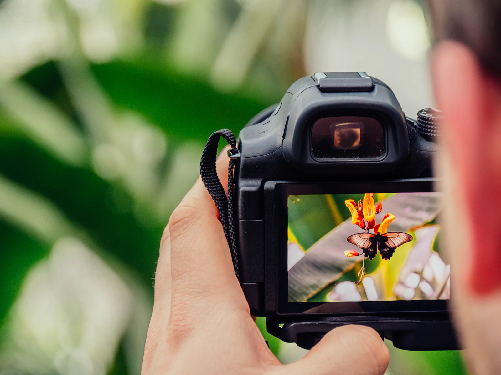 Créer son entreprise de photographie : Guide complet pour les entrepreneurs