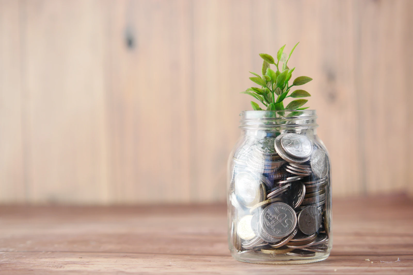 Venture debt : Une solution de financement pour les startups en croissance