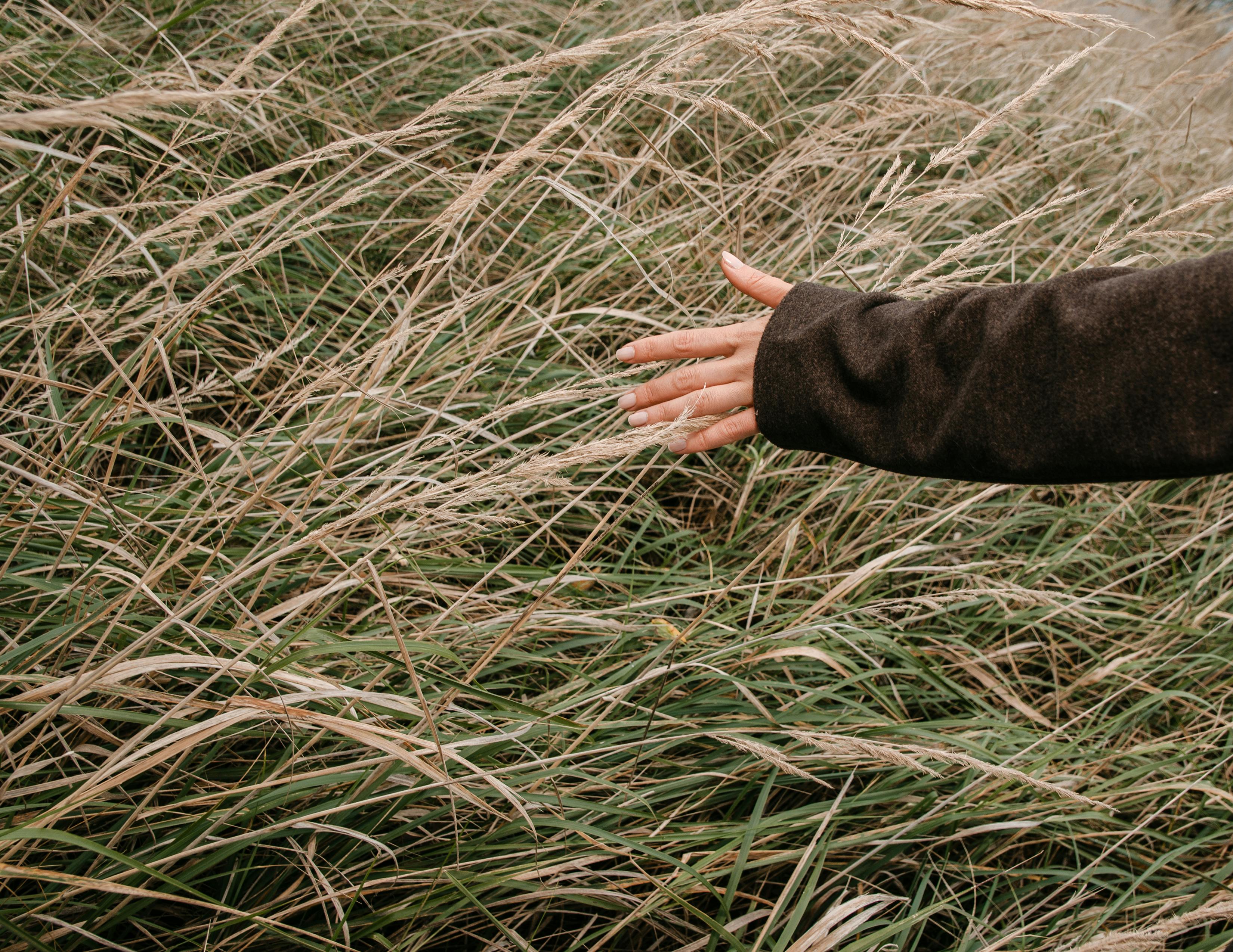 Micro-entrepreneur devant un tableau de bord avec ses chiffres d'affaires et les seuils réglementaires