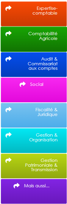 Anthony Varin - Photo 2