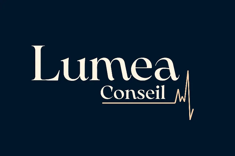 LC LUMEA CONSEIL